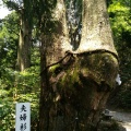 実際訪問したユーザーが直接撮影して投稿した玉置川神社玉置神社の写真