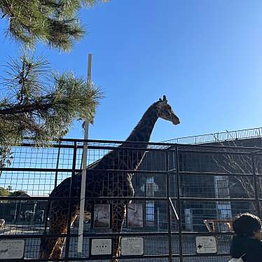 宮崎市 フェニックス自然動物園のundefinedに実際訪問訪問したユーザーunknownさんが新しく投稿した新着口コミの写真