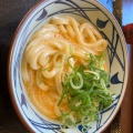 明太釜玉うどん - 実際訪問したユーザーが直接撮影して投稿した鴻之台1番町うどん丸亀製麺 名張店の写真のメニュー情報