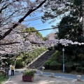 実際訪問したユーザーが直接撮影して投稿した西公園神社光雲神社の写真