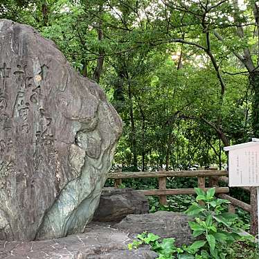 実際訪問したユーザーが直接撮影して投稿した二番町記念碑河東碧梧桐の句碑(市役所前)の写真