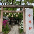 実際訪問したユーザーが直接撮影して投稿した今井神社今井神社の写真