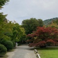 実際訪問したユーザーが直接撮影して投稿した勧修寺仁王堂町寺勧修寺の写真