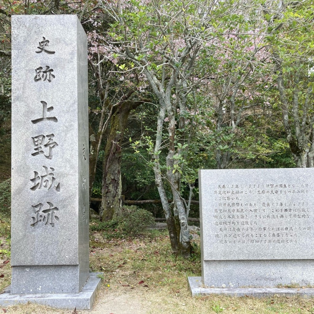 こういっさん-今までみんなありがとう-さんが投稿した上野丸之内遺跡地のお店上野城跡/ウエノジョウアトの写真