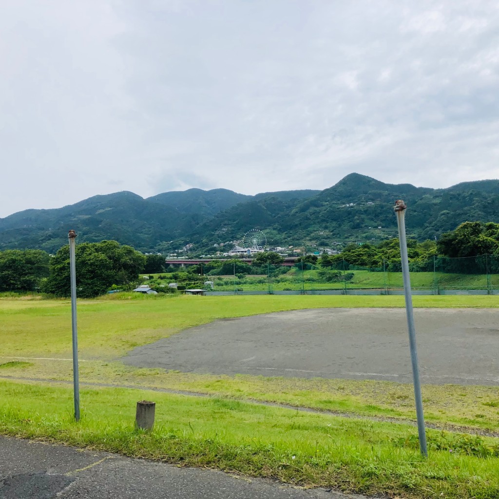 実際訪問したユーザーが直接撮影して投稿した松岡公園雁公園の写真