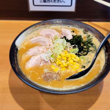 実際訪問したユーザーが直接撮影して投稿した田園ラーメン / つけ麺ラーメンだるまやの写真