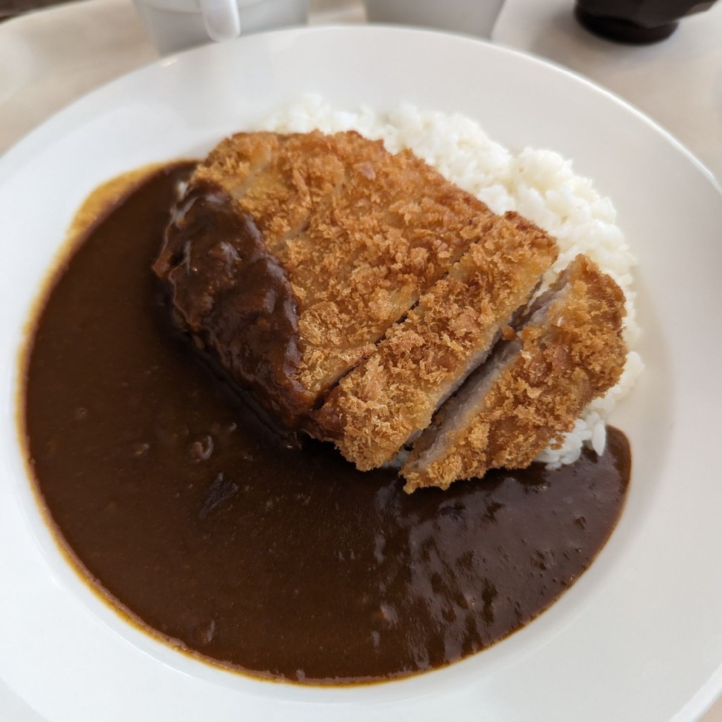 ユーザーが投稿したPork Cutlet Curry & Riceの写真 - 実際訪問したユーザーが直接撮影して投稿した山田定食屋ヒュッテキングベルの写真