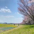 実際訪問したユーザーが直接撮影して投稿した静公園静峰ふるさと公園の写真