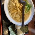 ごぼう天うどん - 実際訪問したユーザーが直接撮影して投稿した萩原うどん鳴門うどん 萩原店の写真のメニュー情報