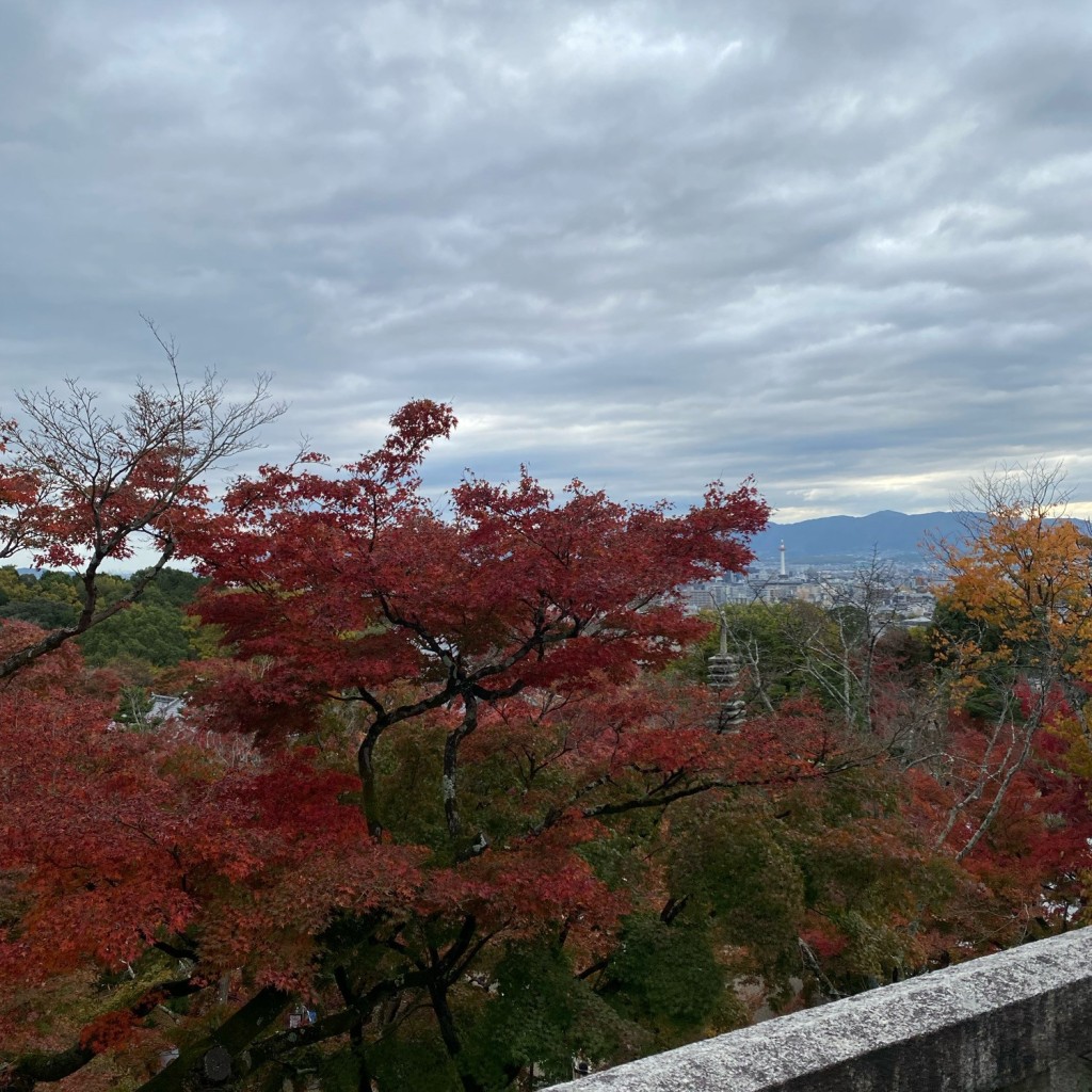 HARIBO-お休みさんが投稿した清水1丁目寺のお店清水寺/キヨミズデラの写真