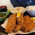 Lアジフライ定食 - 実際訪問したユーザーが直接撮影して投稿した溝辺町麓鶏料理食楽々の写真のメニュー情報