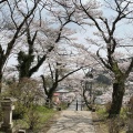 実際訪問したユーザーが直接撮影して投稿した千手町公園千手山公園の写真