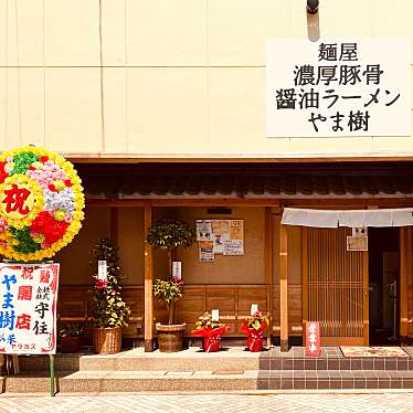 グルメリポートさんが投稿した南新町ラーメン専門店のお店麺屋 やま樹/メンヤ ヤマキの写真