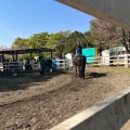 実際訪問したユーザーが直接撮影して投稿した金堀町カフェカフェ ヒルデモアの写真