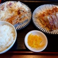 焼き餃子10個&鶏 - 実際訪問したユーザーが直接撮影して投稿した巣鴨居酒屋大衆食堂 てんぐ大ホール 巣鴨北口店の写真のメニュー情報