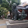 実際訪問したユーザーが直接撮影して投稿した淡路町神社御霊神社の写真