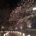 実際訪問したユーザーが直接撮影して投稿した壬生甲公園東雲公園の写真