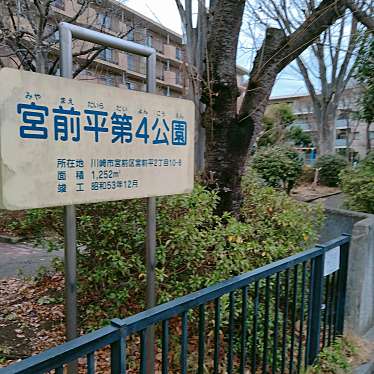 実際訪問したユーザーが直接撮影して投稿した宮前平公園宮前平第4公園の写真