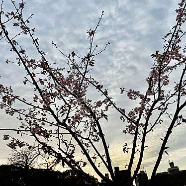 さいころジュリさんが投稿した長居公園公園のお店長居公園/ナガイコウエンの写真