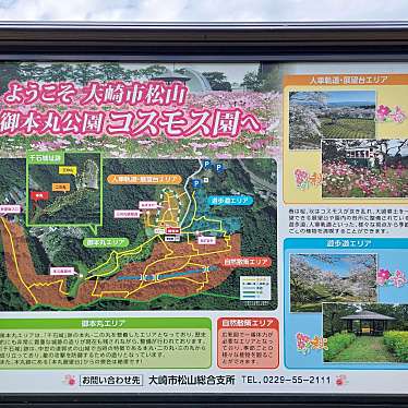 実際訪問したユーザーが直接撮影して投稿した松山千石公園松山御本丸公園の写真