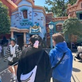 実際訪問したユーザーが直接撮影して投稿した舞浜地域名所Toontown City Hallの写真