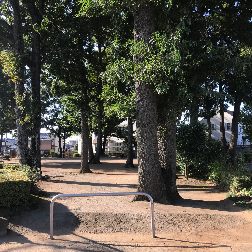 実際訪問したユーザーが直接撮影して投稿した鶴ヶ丘公園どんぐり公園の写真