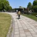 実際訪問したユーザーが直接撮影して投稿した長洲公園金魚と鯉の郷広場の写真