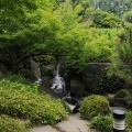 実際訪問したユーザーが直接撮影して投稿した目白庭園目白庭園の写真