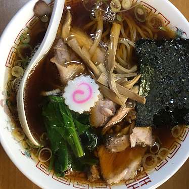 実際訪問したユーザーが直接撮影して投稿した万代島ラーメン / つけ麺青島食堂 司菜 トキメッセ店の写真