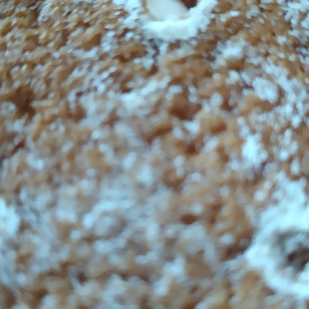 ユーザーが投稿したパンの写真 - 実際訪問したユーザーが直接撮影して投稿した野島蟇浦ベーカリーのじまベーカリーの写真