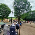 実際訪問したユーザーが直接撮影して投稿した関野町公園小金井公園わんぱく山の写真