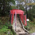 実際訪問したユーザーが直接撮影して投稿した神社草津穴守稲荷神社の写真