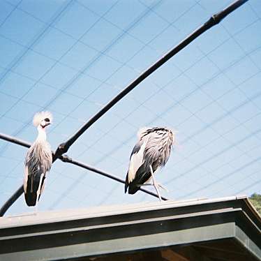 静岡市立 日本平動物園のundefinedに実際訪問訪問したユーザーunknownさんが新しく投稿した新着口コミの写真