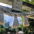 実際訪問したユーザーが直接撮影して投稿した祇園神社大年神社の写真