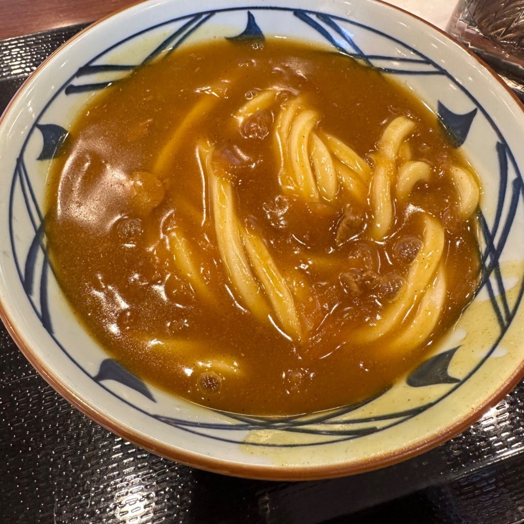 ユーザーが投稿したカレーうどんの写真 - 実際訪問したユーザーが直接撮影して投稿した新川三条うどん丸亀製麺 札幌新川店の写真