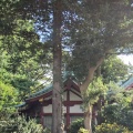 実際訪問したユーザーが直接撮影して投稿した粕谷神社五所神社の写真