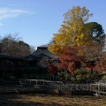 実際訪問したユーザーが直接撮影して投稿した平賀寺本土寺の写真