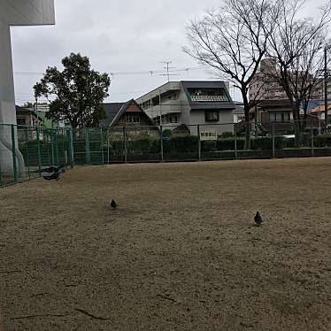 ぶどううり・くすこさんが投稿した武庫川町公園のお店武庫川町子ども広場/ムコガワチョウコドモヒロバの写真