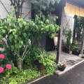 実際訪問したユーザーが直接撮影して投稿した山本町大野うどんSIRAKAWAの写真