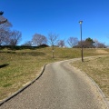 実際訪問したユーザーが直接撮影して投稿した公園笠寺公園の写真