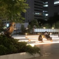実際訪問したユーザーが直接撮影して投稿した千駄ヶ谷公園新宿ミナミルミの写真