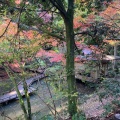 実際訪問したユーザーが直接撮影して投稿した加茂新田公園加茂山公園の写真