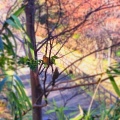 実際訪問したユーザーが直接撮影して投稿した鶴牧公園鶴牧西公園の写真