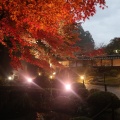 実際訪問したユーザーが直接撮影して投稿した松尾寺寺金剛輪寺の写真