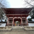 実際訪問したユーザーが直接撮影して投稿した醍醐東大路町寺醍醐寺の写真