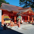 実際訪問したユーザーが直接撮影して投稿した那智山神社熊野那智大社の写真