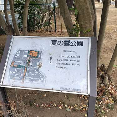 実際訪問したユーザーが直接撮影して投稿した光が丘公園夏の雲公園 みらいの広場の写真