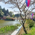 実際訪問したユーザーが直接撮影して投稿した高師公園茂原公園の写真