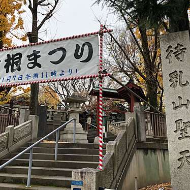 ははみんさんが投稿した浅草寺のお店本龍院 待乳山 聖天/ホンリュウイン マツチヤマ ショウデンの写真