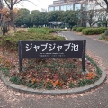 実際訪問したユーザーが直接撮影して投稿した駒沢公園駒沢オリンピック公園 ジャブジャブ池の写真